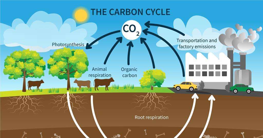 Carbon Cycle Gizmo Answer Key Latest PDF Update 