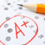 Unlock the Secrets to Ace Your 955 Exam Answers