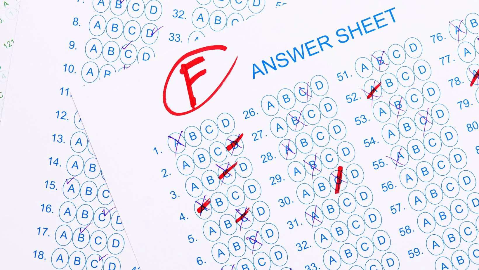 ssd 2 module 3 exam answers