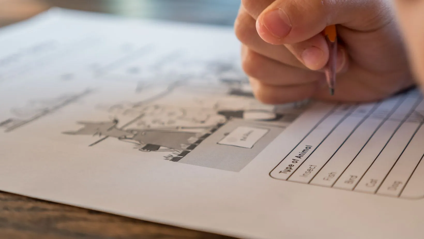 usps 955 exam answers