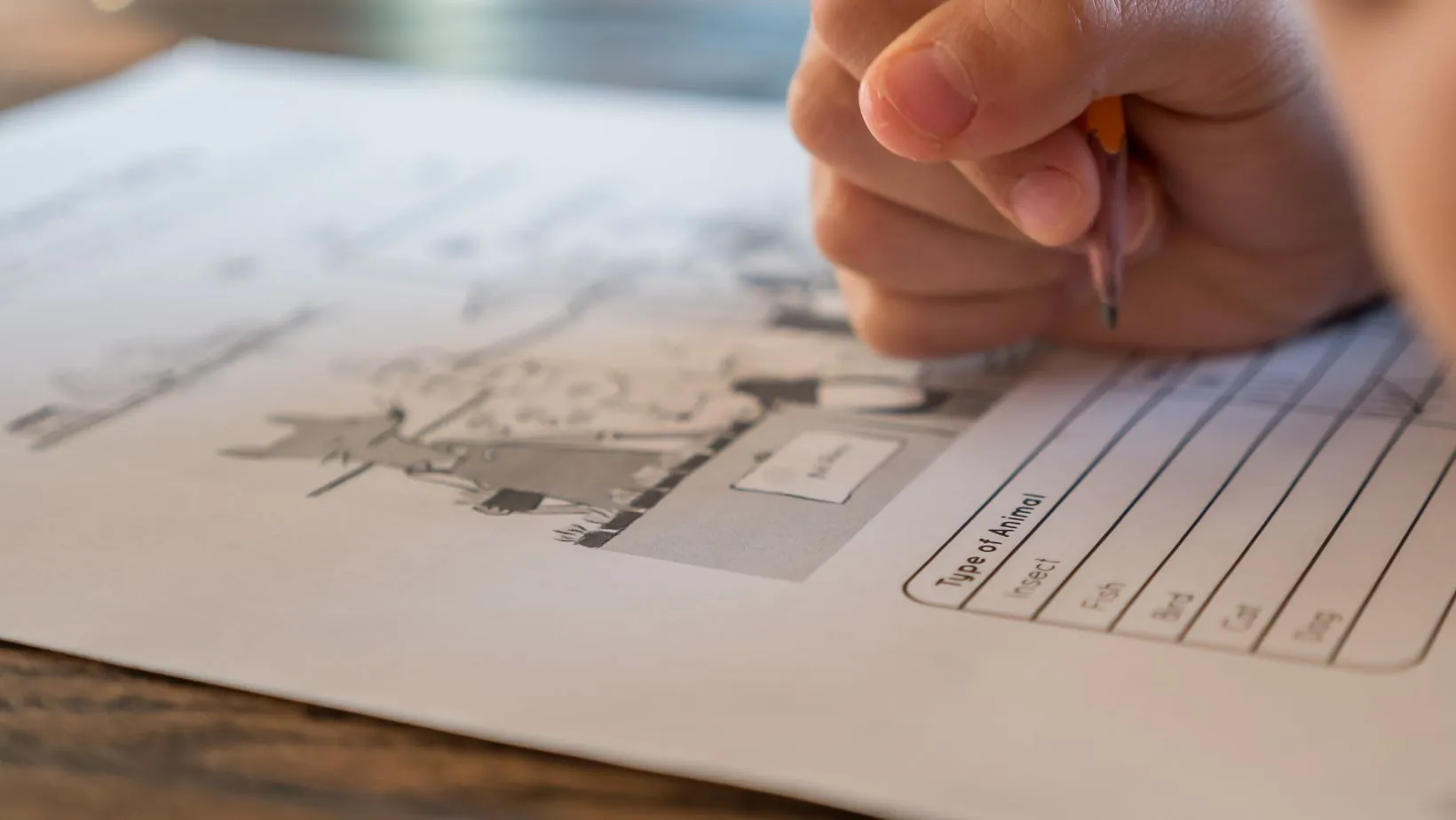 nrp exam answers