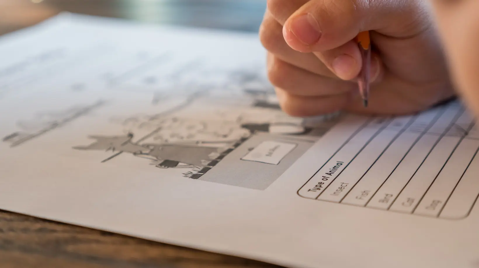ssd level 1 module 2 exam answers