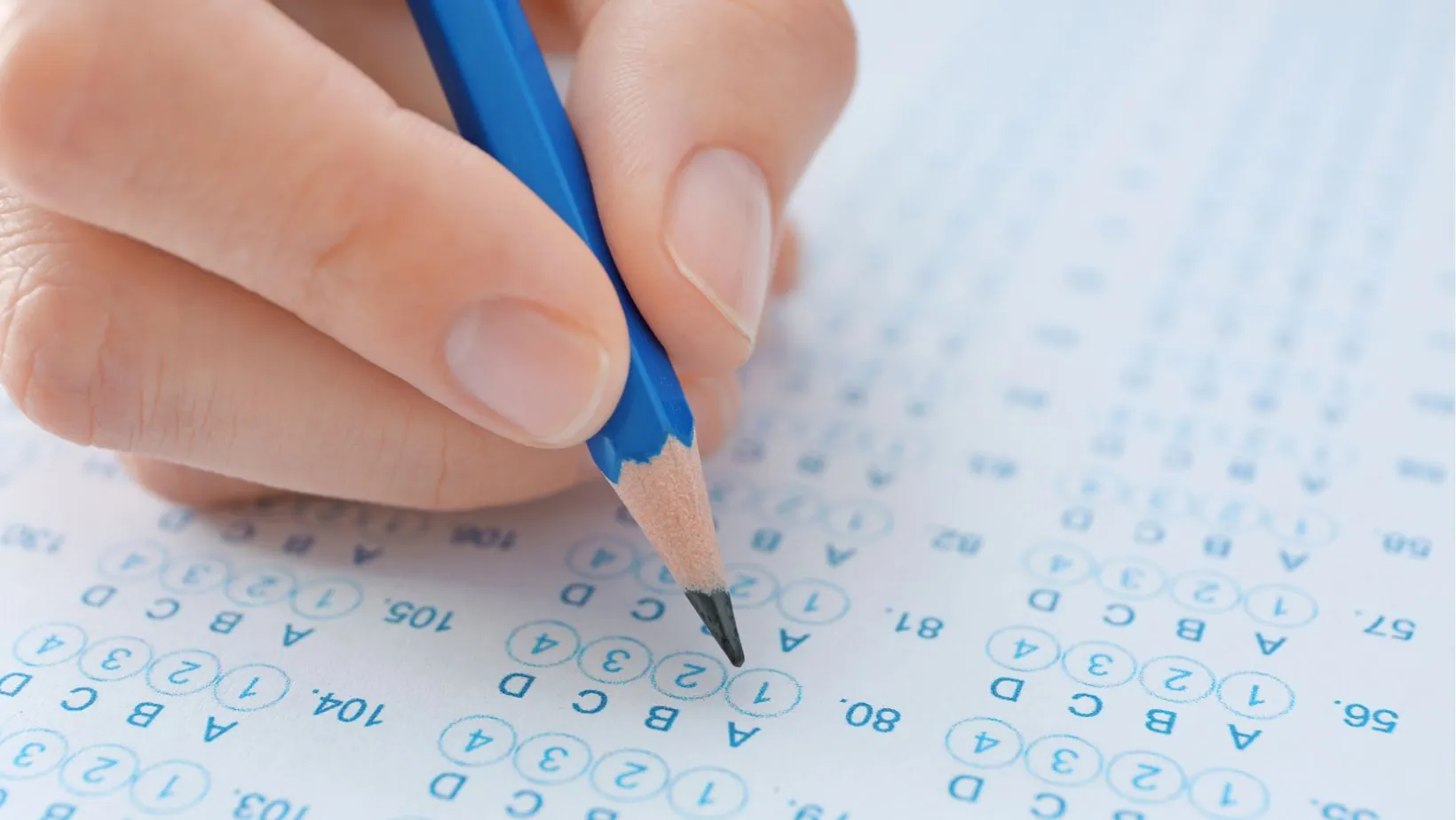 bqa final exam answers