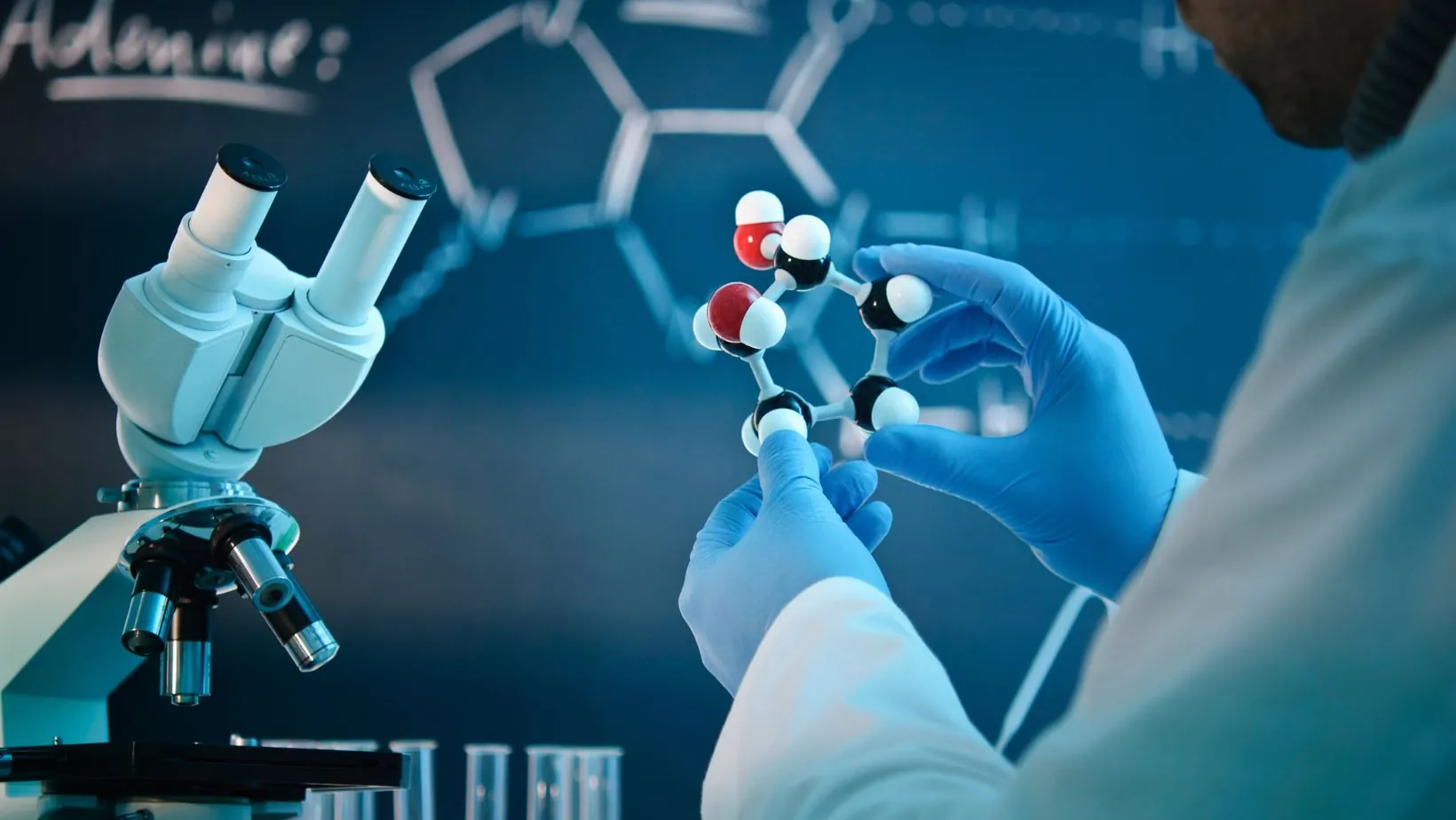 molecular biology exam questions and answers