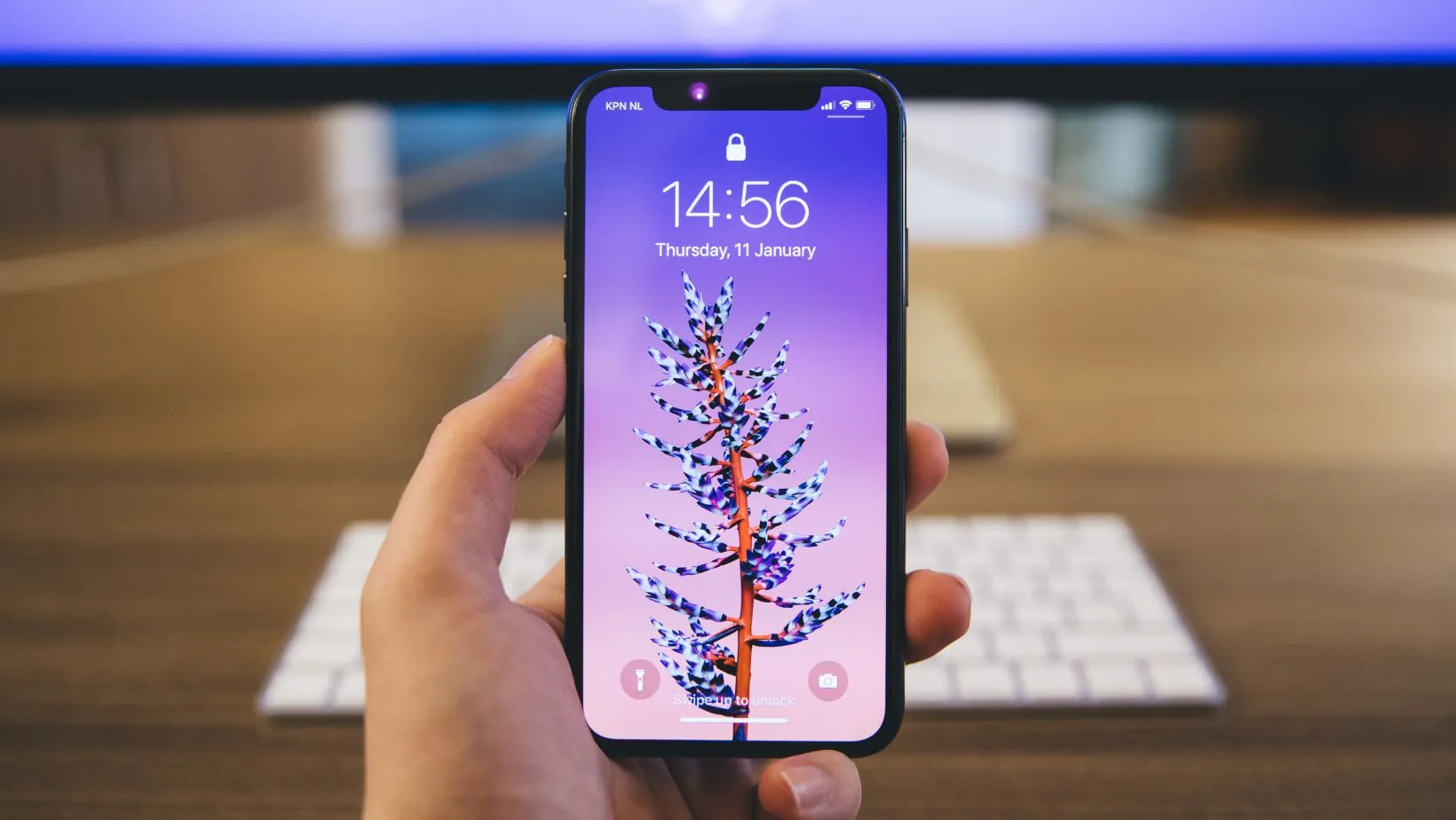 iphone xs max bamboo backgrounds